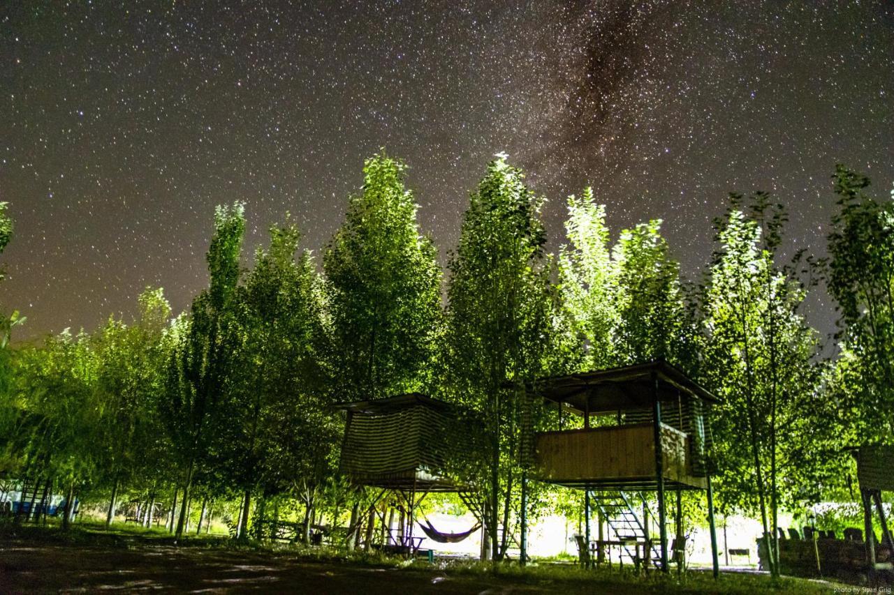 Campsite Crossway *